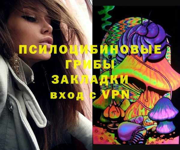 марки lsd Вяземский