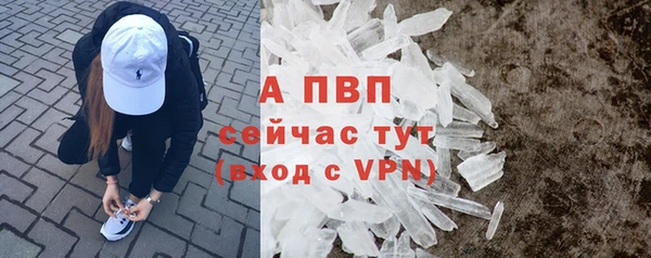 спиды Вязьма